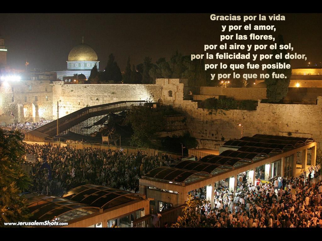 por la felicidad y por el dolor,