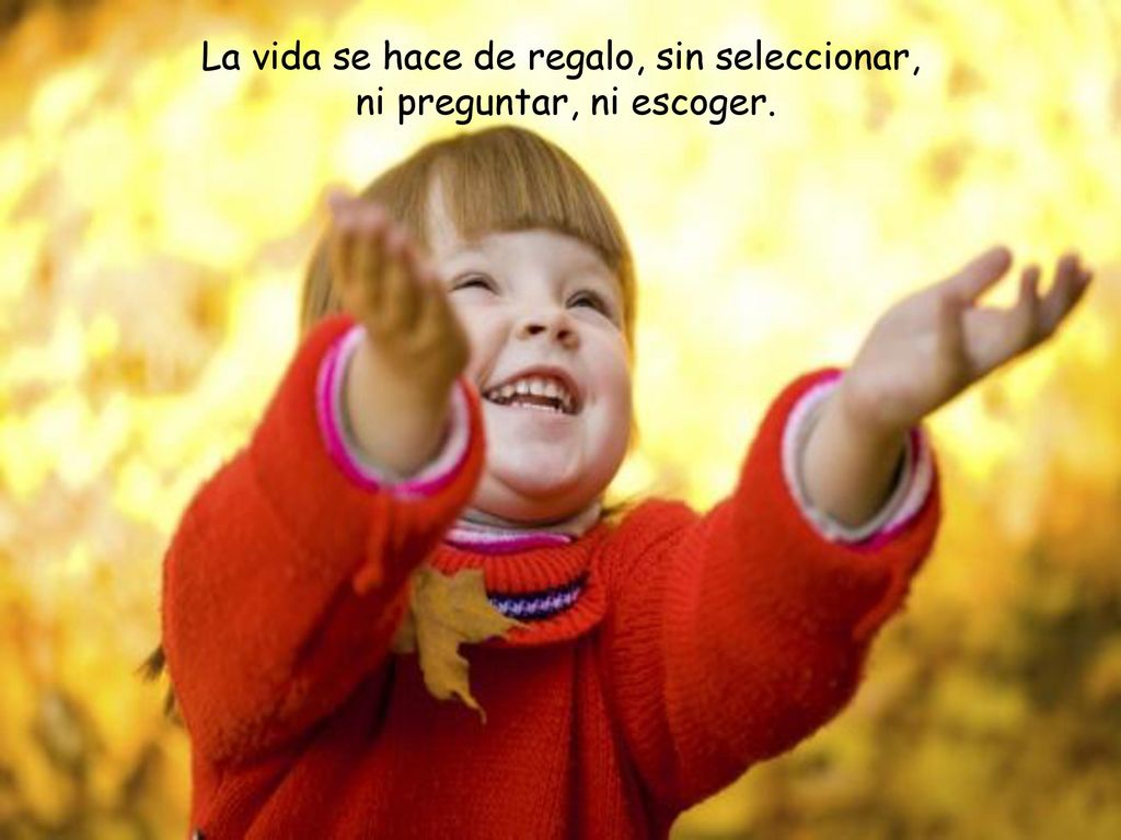 La vida se hace de regalo, sin seleccionar, ni preguntar, ni escoger.