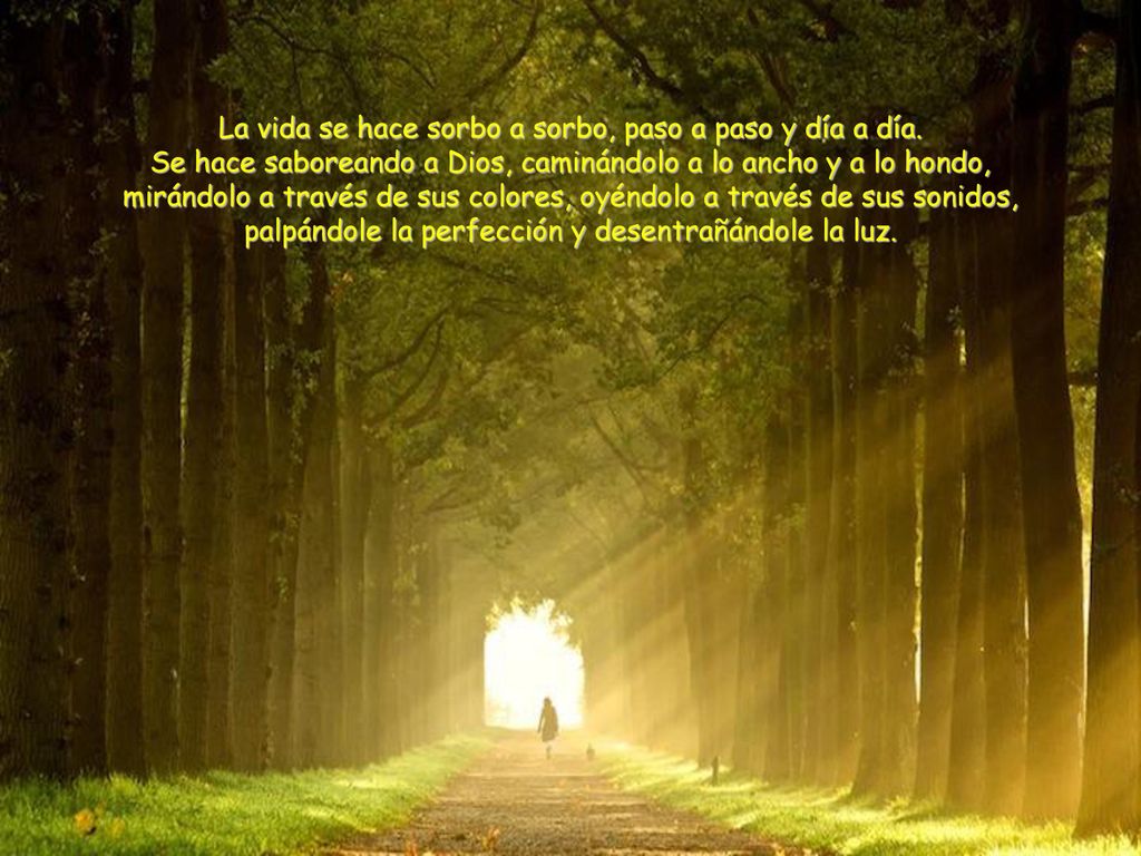La vida se hace sorbo a sorbo, paso a paso y día a día.