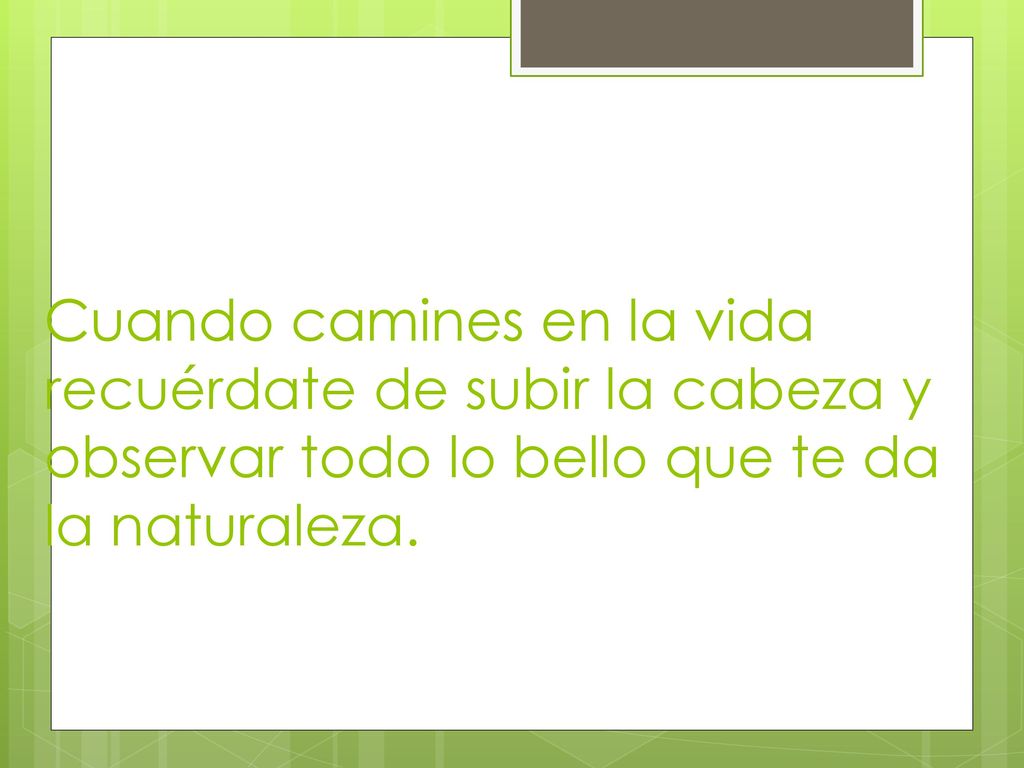 Cuando camines en la vida recuérdate de subir la cabeza y observar todo lo bello que te da la naturaleza.