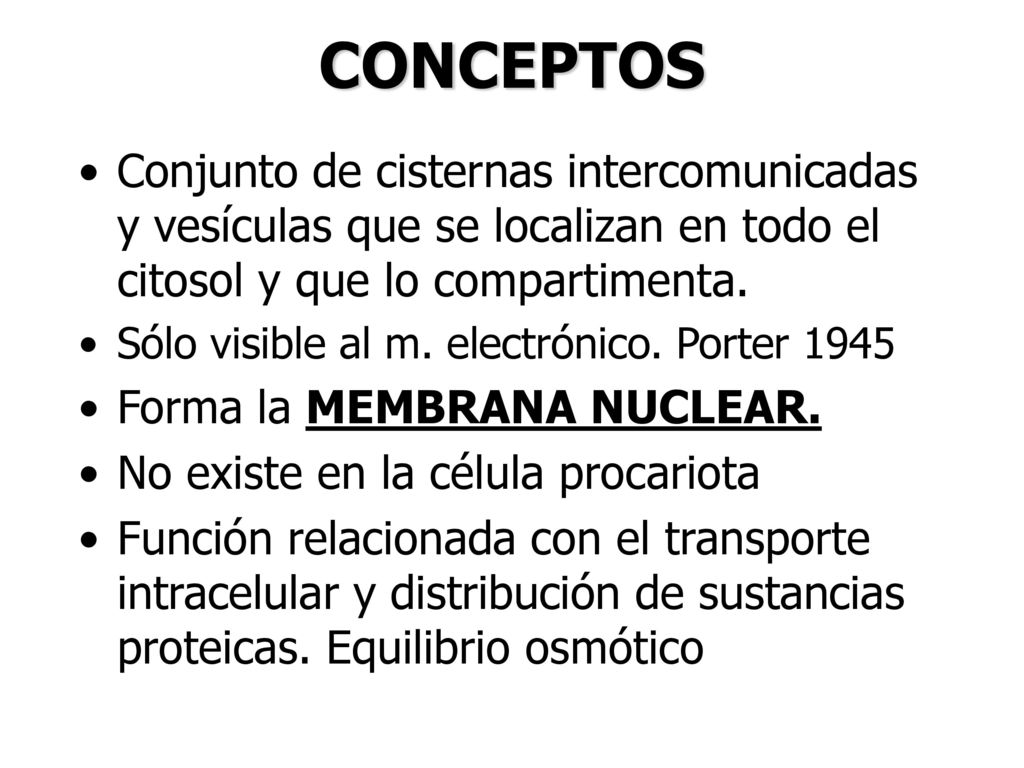 CONCEPTOS Conjunto de cisternas intercomunicadas y vesículas que se localizan en todo el citosol y que lo compartimenta.