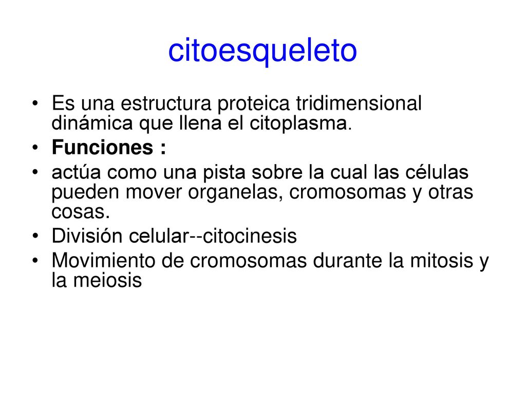 citoesqueleto Es una estructura proteica tridimensional dinámica que llena el citoplasma. Funciones :