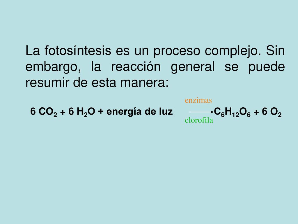 6 CO2 + 6 H2O + energía de luz C6H12O6 + 6 O2