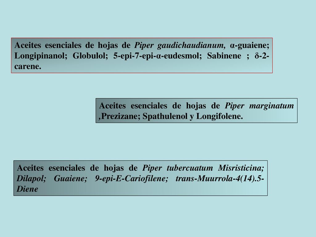 Aceites esenciales de hojas de Piper gaudichaudianum, α-guaiene; Longipinanol; Globulol; 5-epi-7-epi-α-eudesmol; Sabinene ; δ-2-carene.