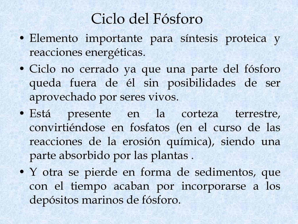 Ciclo del Fósforo Elemento importante para síntesis proteica y reacciones energéticas.