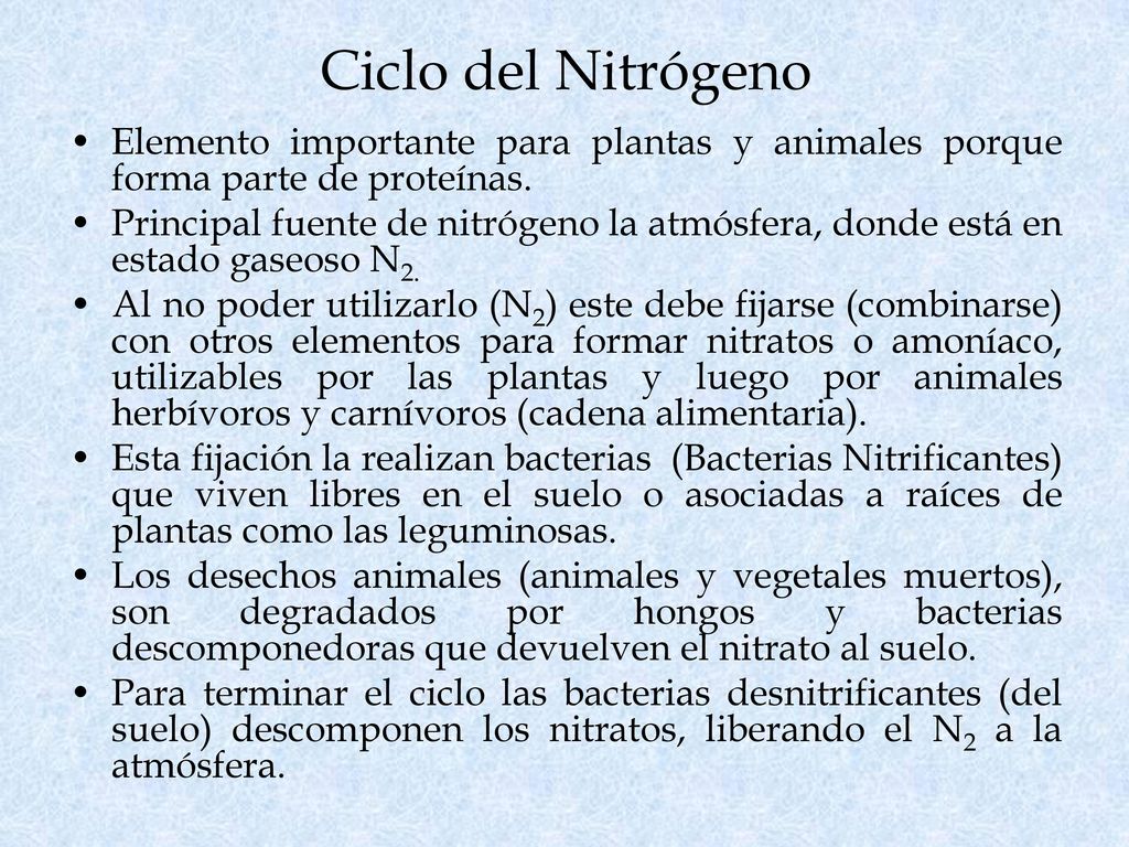 Ciclo del Nitrógeno Elemento importante para plantas y animales porque forma parte de proteínas.
