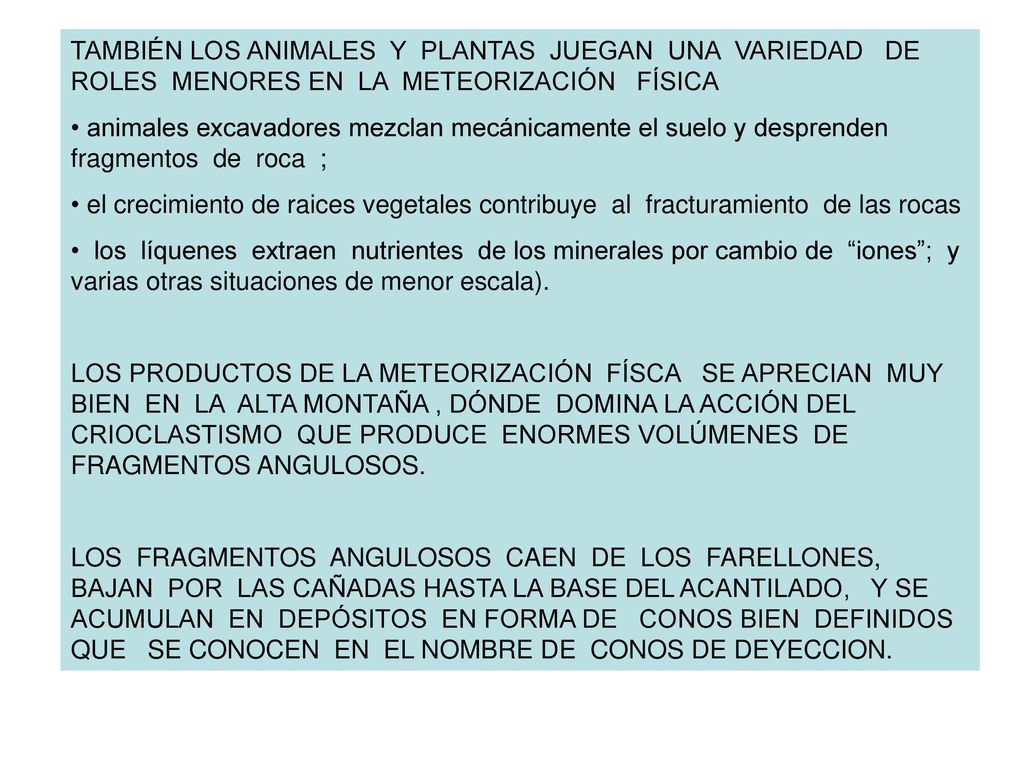 TAMBIÉN LOS ANIMALES Y PLANTAS JUEGAN UNA VARIEDAD DE ROLES MENORES EN LA METEORIZACIÓN FÍSICA