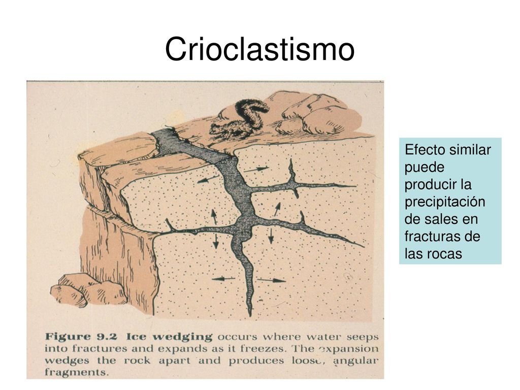 Crioclastismo Efecto similar puede producir la precipitación de sales en fracturas de las rocas