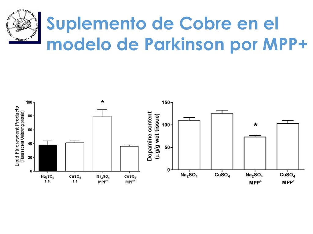Suplemento de Cobre en el modelo de Parkinson por MPP+