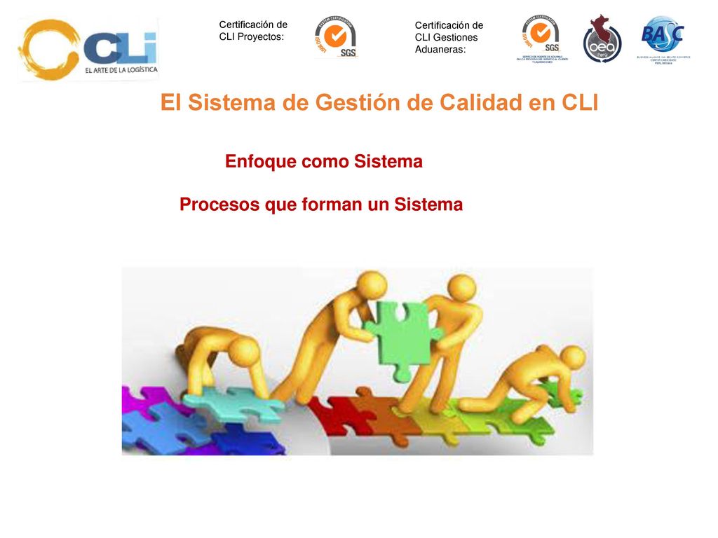 El Sistema de Gestión de Calidad en CLI Procesos que forman un Sistema