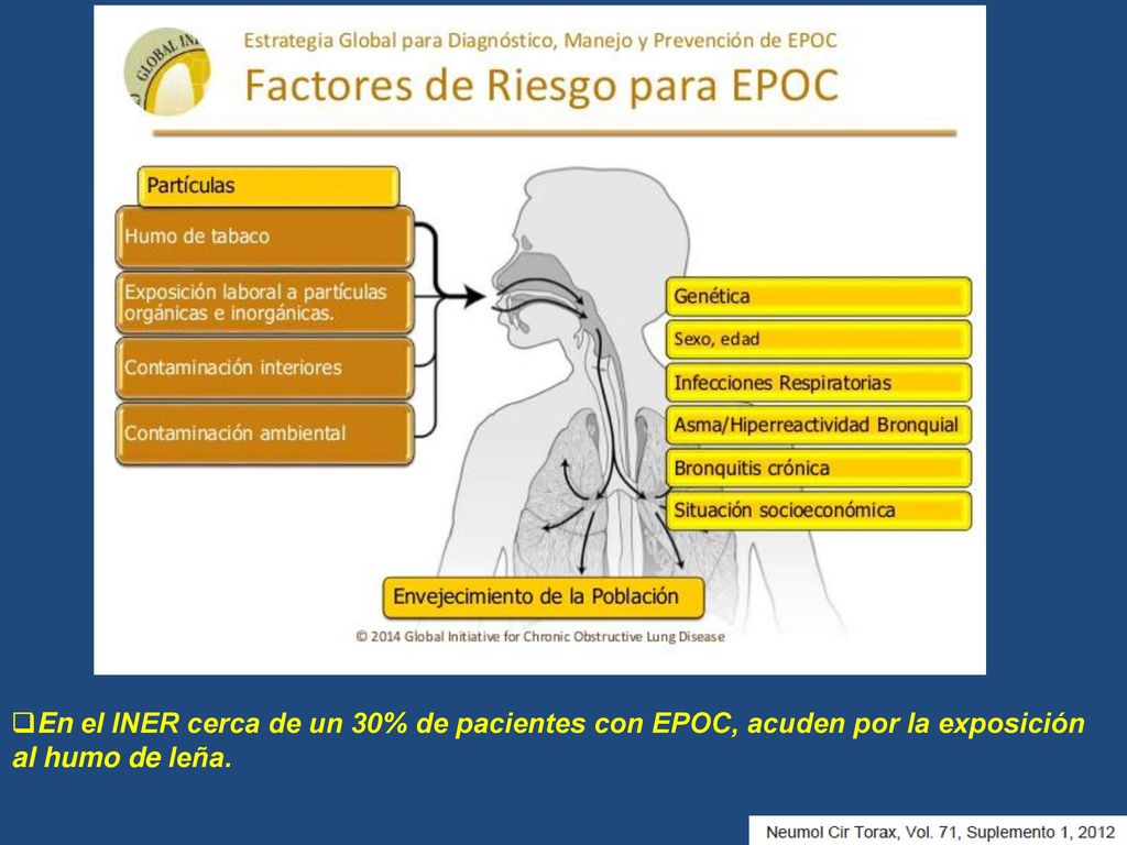 En el INER cerca de un 30% de pacientes con EPOC, acuden por la exposición al humo de leña.