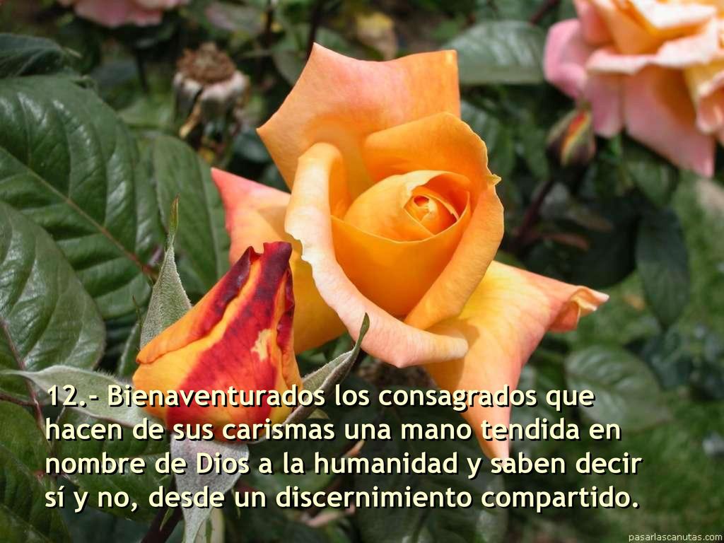 12.- Bienaventurados los consagrados que hacen de sus carismas una mano tendida en nombre de Dios a la humanidad y saben decir sí y no, desde un discernimiento compartido.