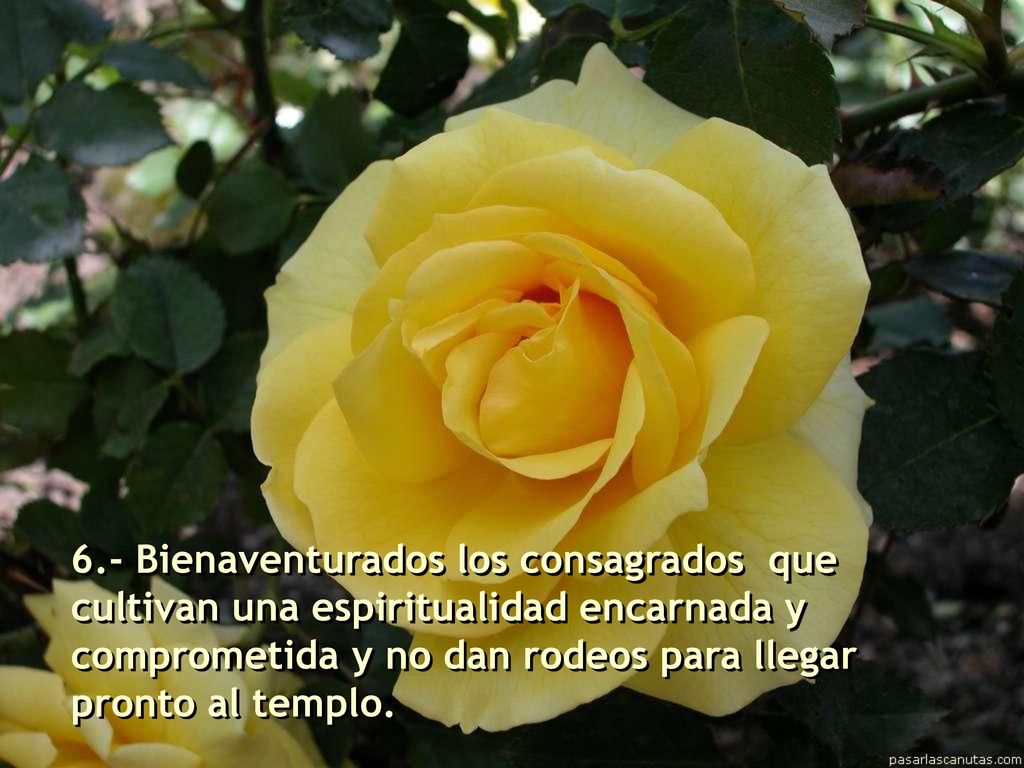 6.- Bienaventurados los consagrados que cultivan una espiritualidad encarnada y comprometida y no dan rodeos para llegar pronto al templo.