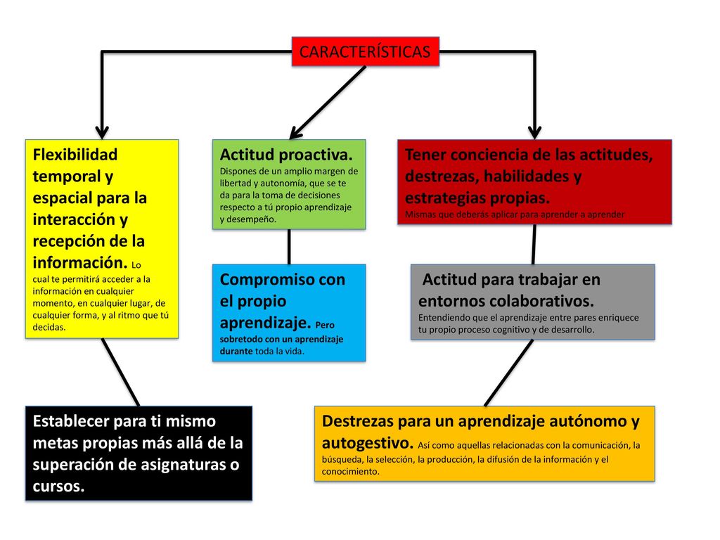 CARACTERÍSTICAS Flexibilidad temporal y espacial para la interacción y recepción de la información. Lo.