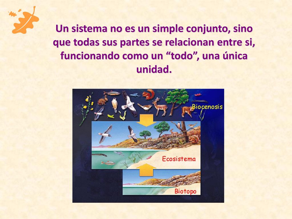 Un sistema no es un simple conjunto, sino que todas sus partes se relacionan entre si, funcionando como un todo , una única unidad.