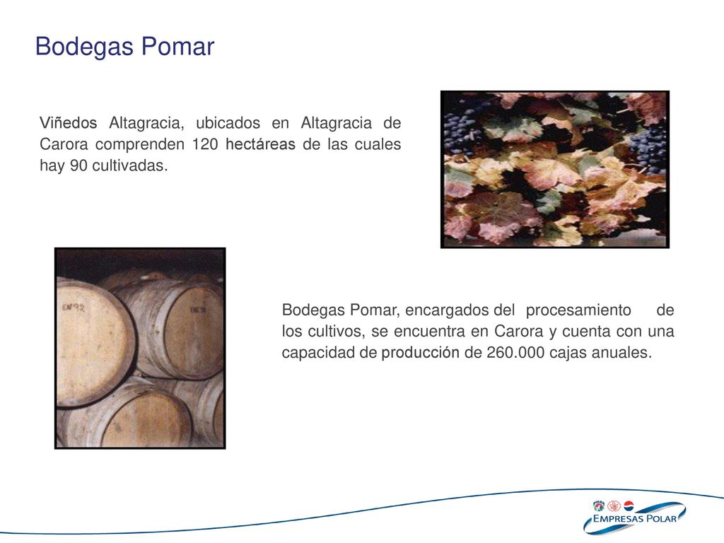 Bodegas Pomar Viñedos Altagracia, ubicados en Altagracia de Carora comprenden 120 hectáreas de las cuales hay 90 cultivadas.