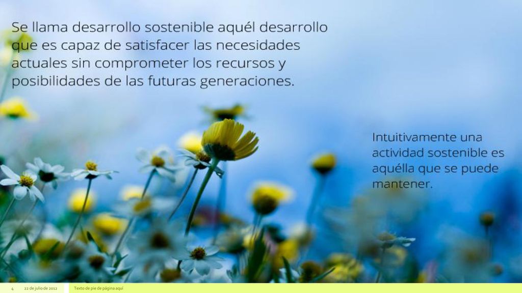 22 de julio de 2012 Texto de pie de página aquí