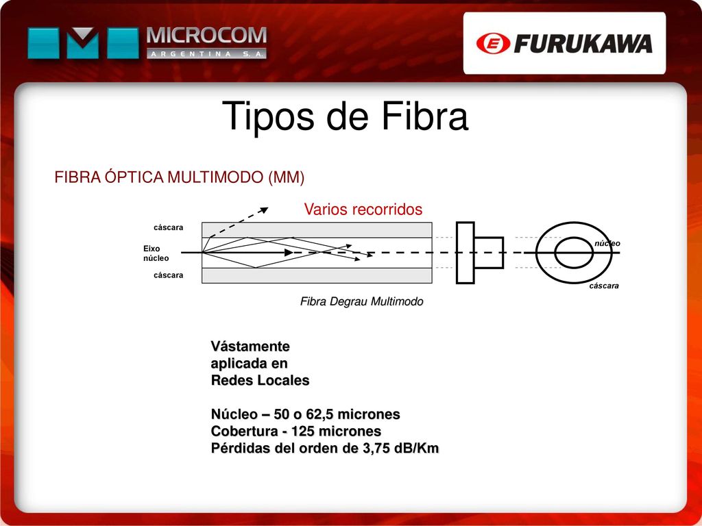 Tipos de Fibra FIBRA ÓPTICA MULTIMODO (MM) Varios recorridos