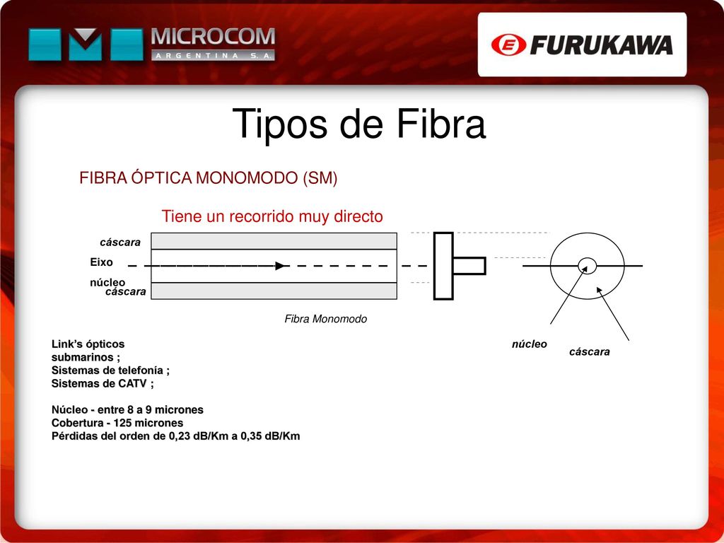 Tipos de Fibra FIBRA ÓPTICA MONOMODO (SM)