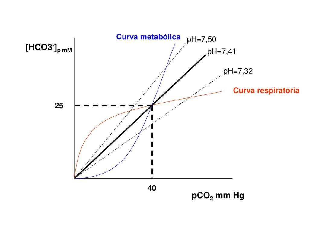 [HCO3-]p mM pCO2 mm Hg Curva metabólica pH=7,50 pH=7,41 pH=7,32