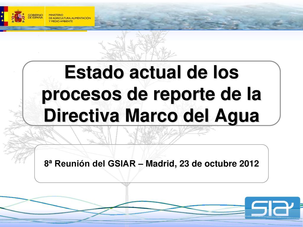 8ª Reunión del GSIAR – Madrid, 23 de octubre 2012
