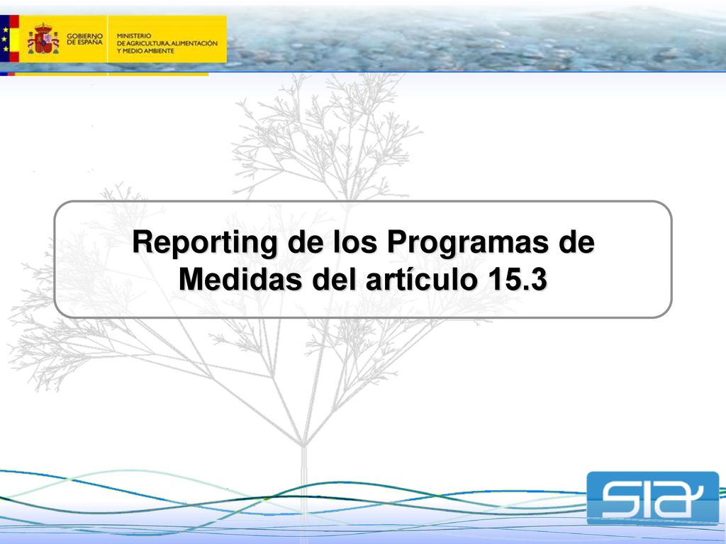 Reporting de los Programas de Medidas del artículo 15.3