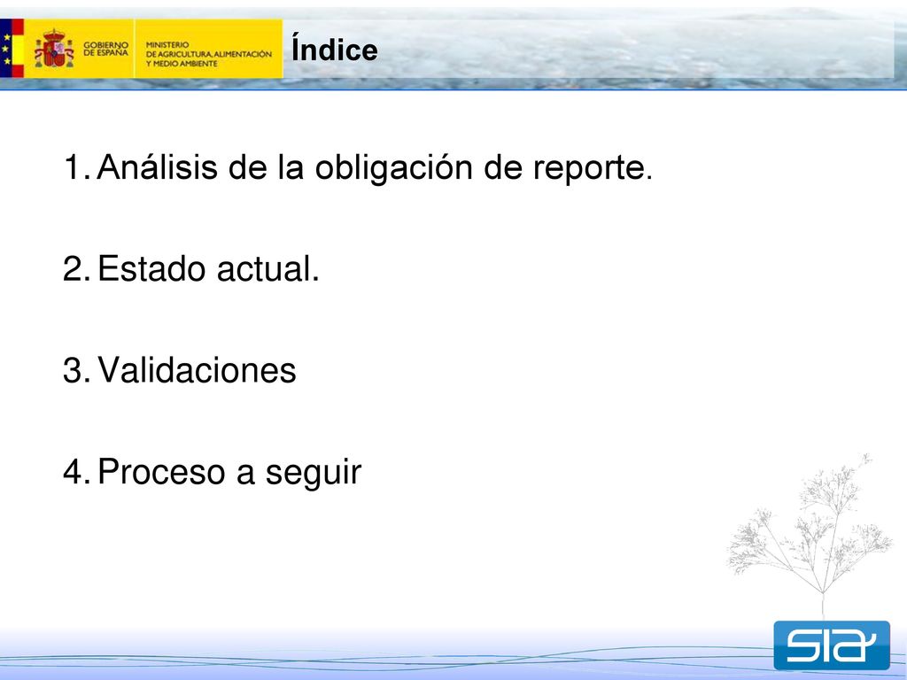 Análisis de la obligación de reporte. Estado actual. Validaciones