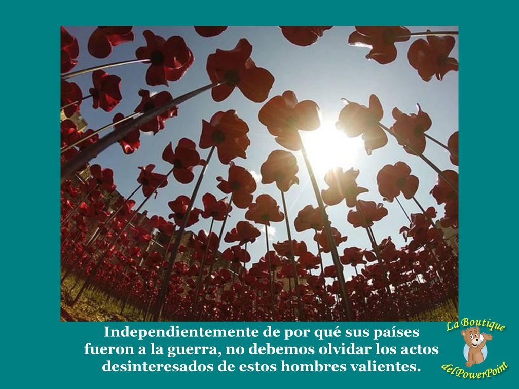Independientemente de por qué sus países fueron a la guerra, no debemos olvidar los actos desinteresados ​​de estos hombres valientes.