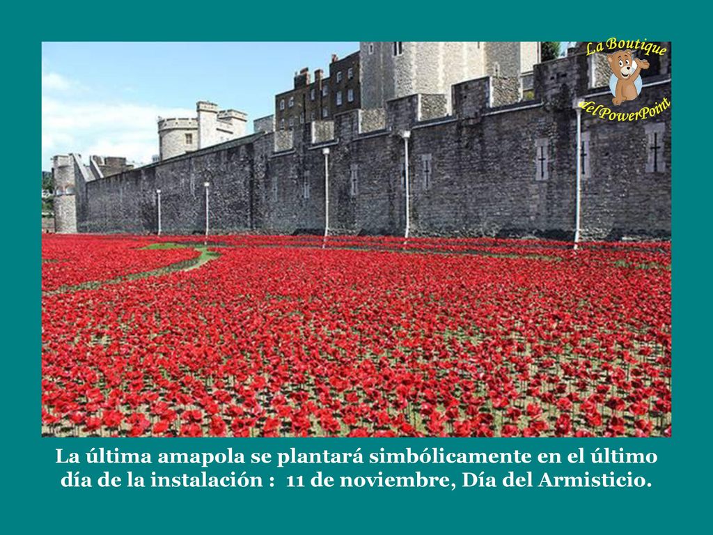 La última amapola se plantará simbólicamente en el último día de la instalación : 11 de noviembre, Día del Armisticio.