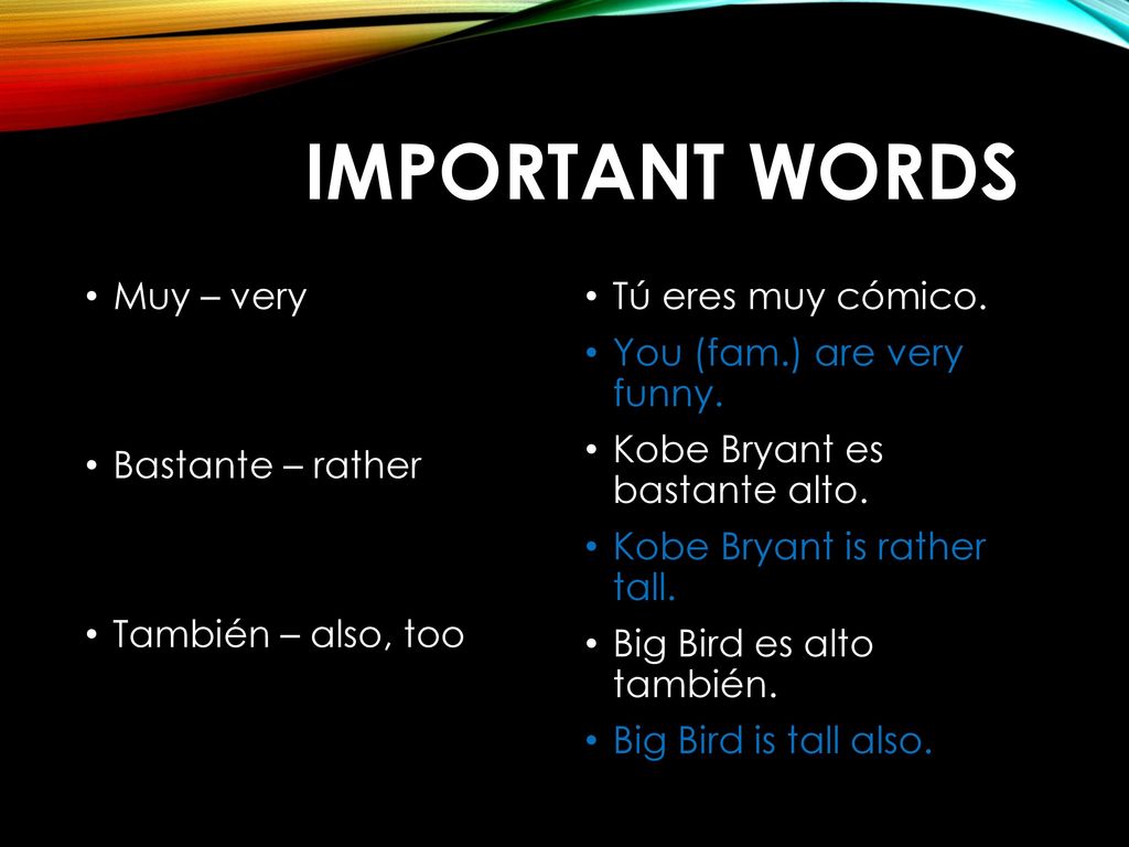 Important words Muy – very Bastante – rather También – also, too