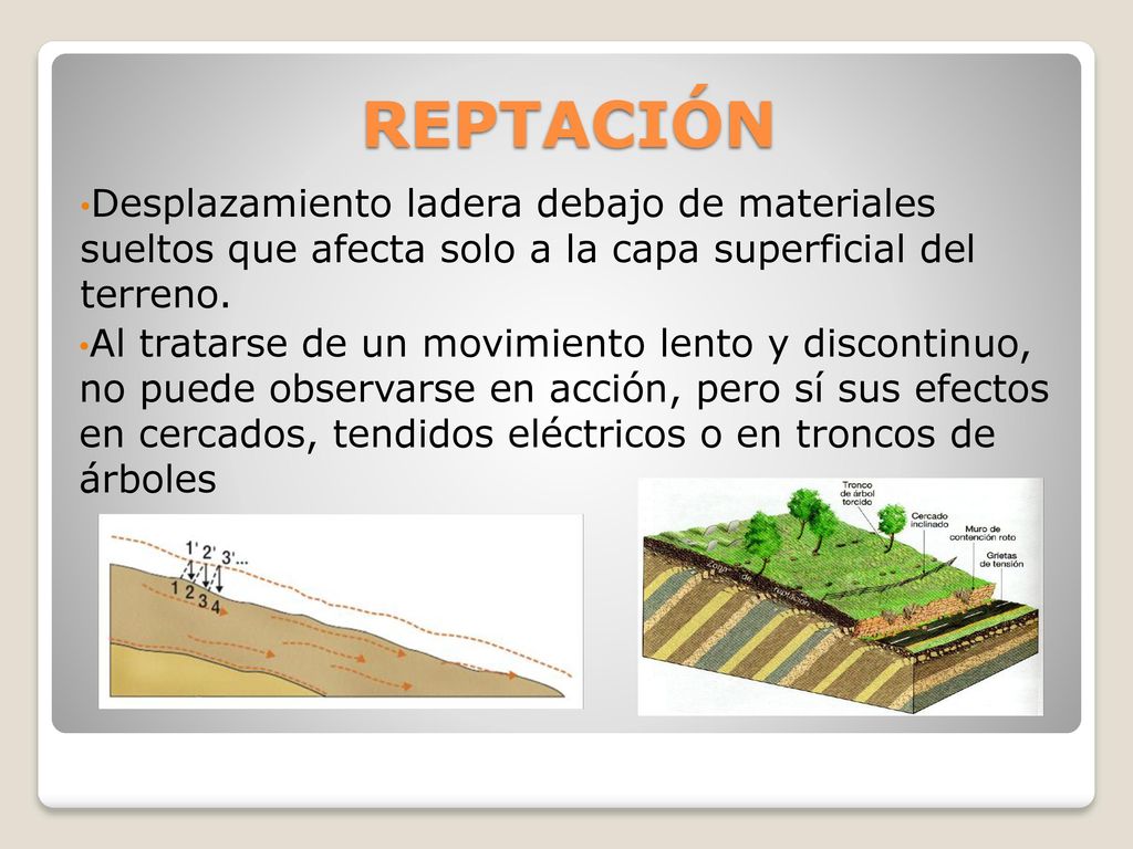 REPTACIÓN Desplazamiento ladera debajo de materiales sueltos que afecta solo a la capa superficial del terreno.