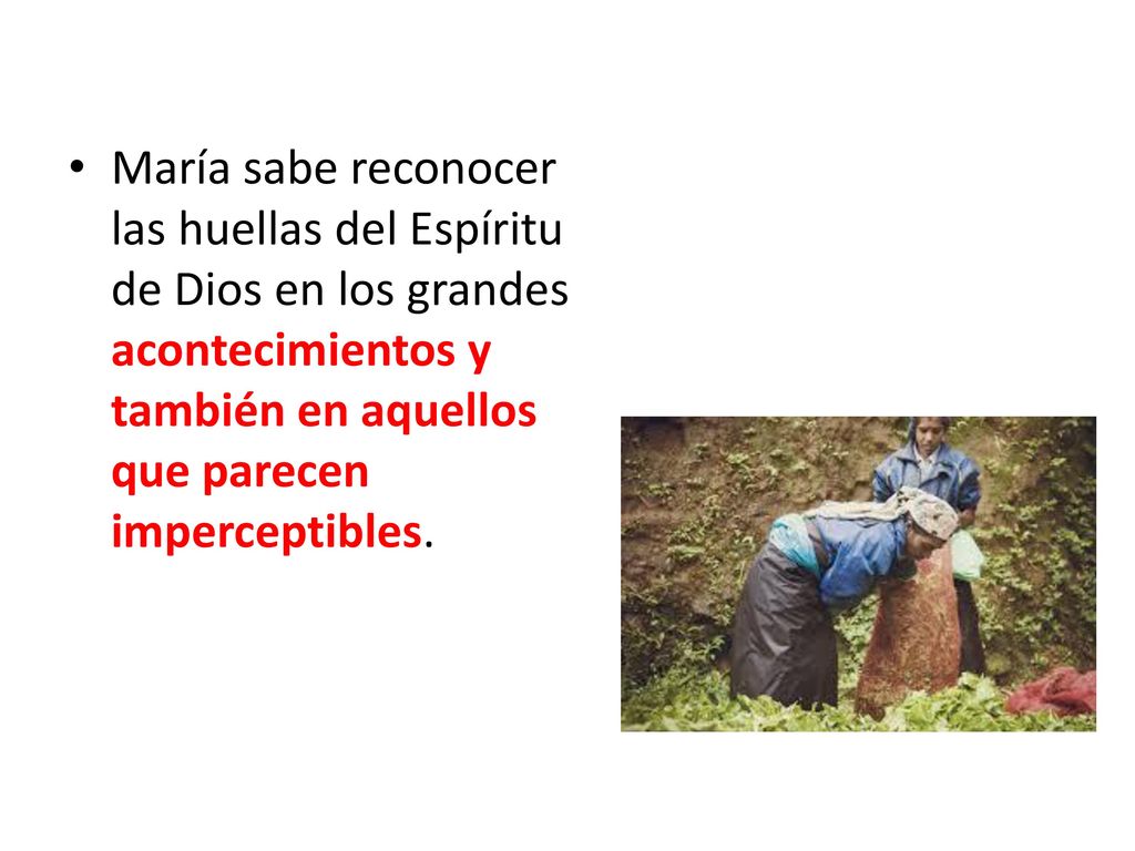 María sabe reconocer las huellas del Espíritu de Dios en los grandes acontecimientos y también en aquellos que parecen imperceptibles.