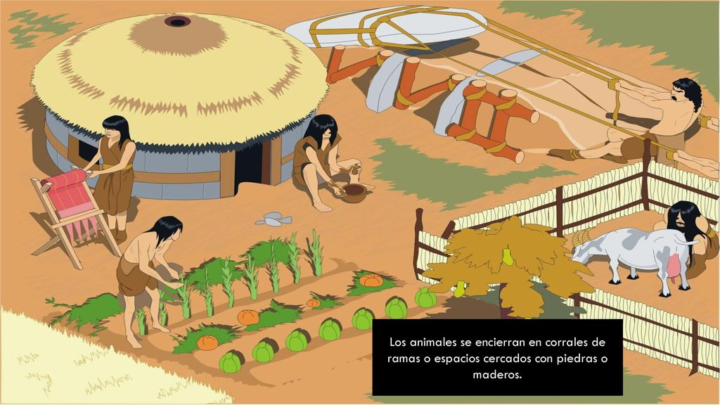 Los animales se encierran en corrales de ramas o espacios cercados con piedras o maderos.