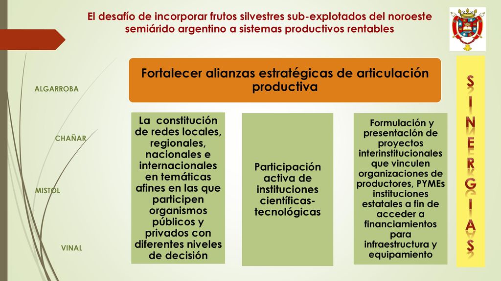 SINERGIAS Fortalecer alianzas estratégicas de articulación productiva