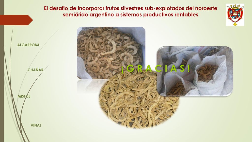 El desafío de incorporar frutos silvestres sub-explotados del noroeste semiárido argentino a sistemas productivos rentables