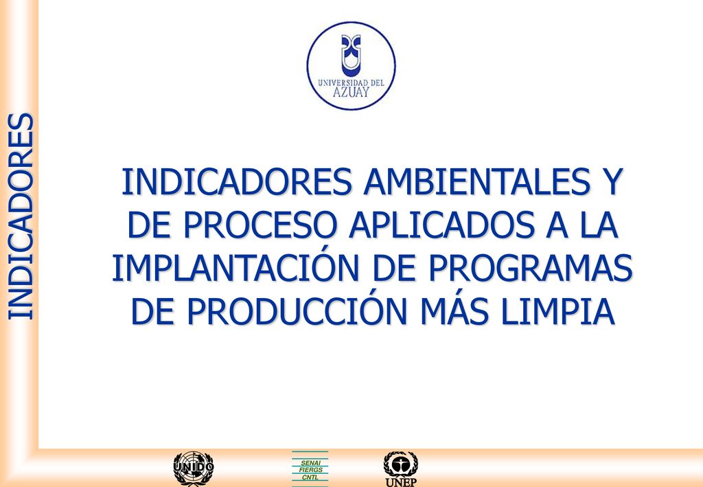 INDICADORES AMBIENTALES Y DE PROCESO APLICADOS A LA IMPLANTACIÓN DE PROGRAMAS DE PRODUCCIÓN MÁS LIMPIA