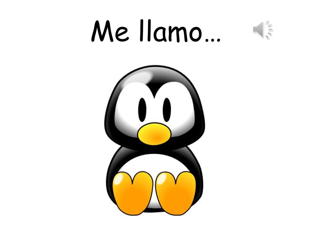 Me llamo… Pupils can choose a name for the penguin.