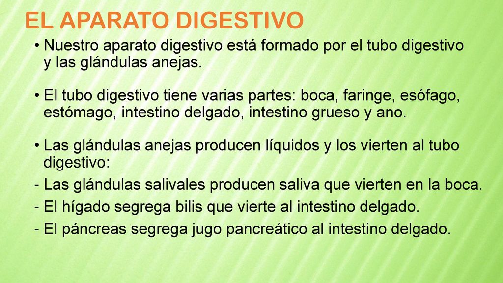 EL APARATO DIGESTIVO Nuestro aparato digestivo está formado por el tubo digestivo y las glándulas anejas.