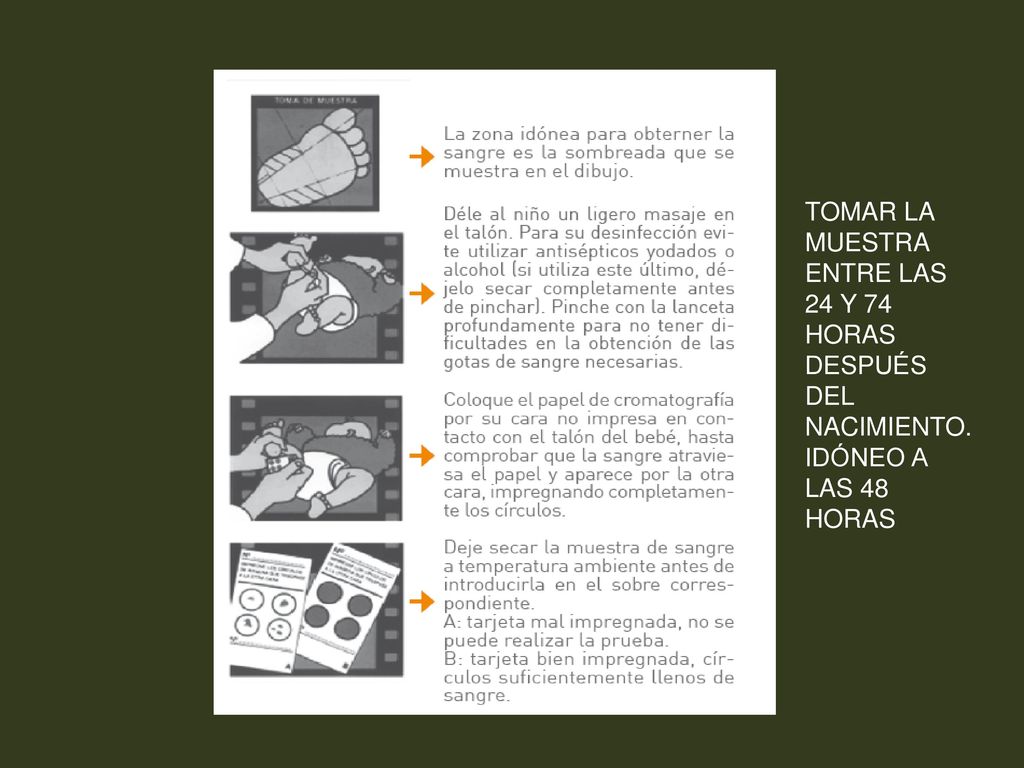 TOMAR LA MUESTRA ENTRE LAS 24 Y 74 HORAS DESPUÉS DEL NACIMIENTO