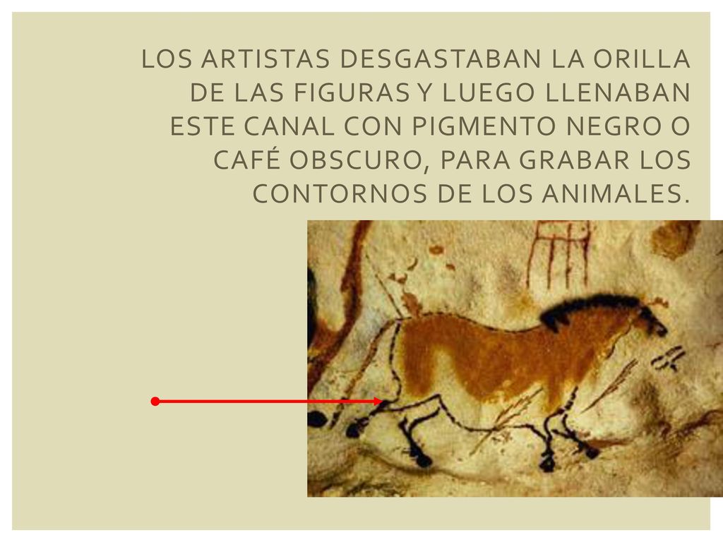 LOS ARTISTAS DESGASTABAN LA ORILLA DE LAS FIGURAS Y LUEGO LLENABAN ESTE CANAL CON PIGMENTO NEGRO O CAFÉ OBSCURO, PARA GRABAR LOS CONTORNOS DE LOS ANIMALES.