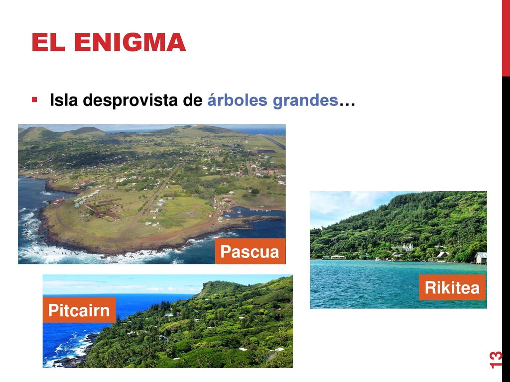 El enigma Isla desprovista de árboles grandes… Pascua Rikitea Pitcairn