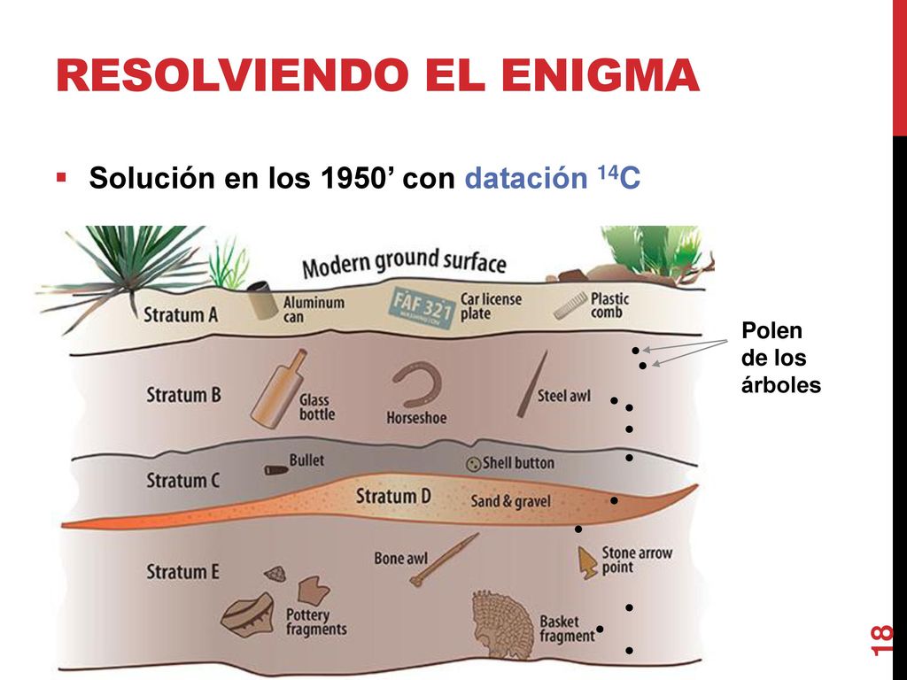 Resolviendo el enigma Solución en los 1950’ con datación 14C