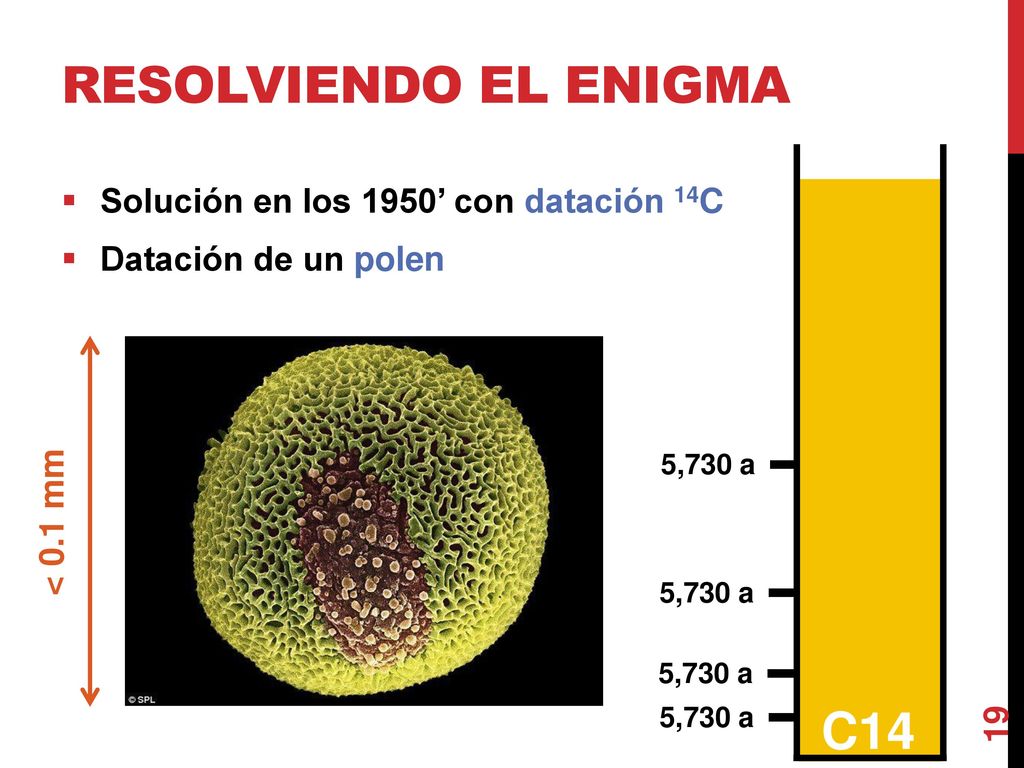 Resolviendo el enigma N C14 Solución en los 1950’ con datación 14C