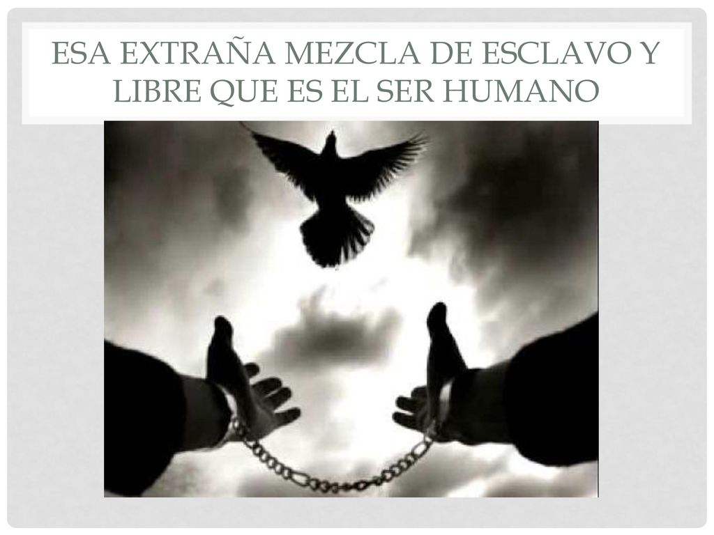 Esa extraña mezcla de esclavo y libre que es el ser humano