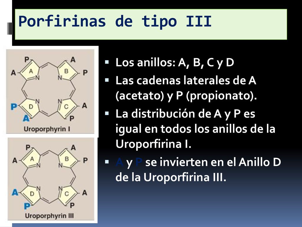 Porfirinas de tipo III Los anillos: A, B, C y D
