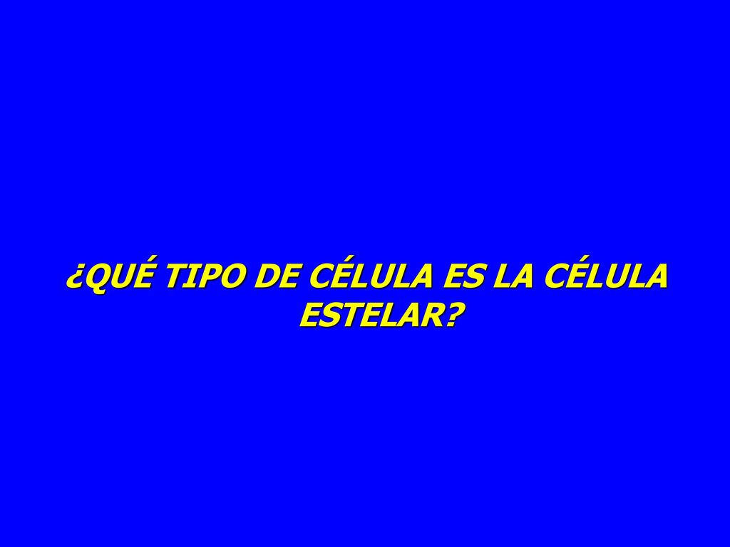 ¿QUÉ TIPO DE CÉLULA ES LA CÉLULA ESTELAR