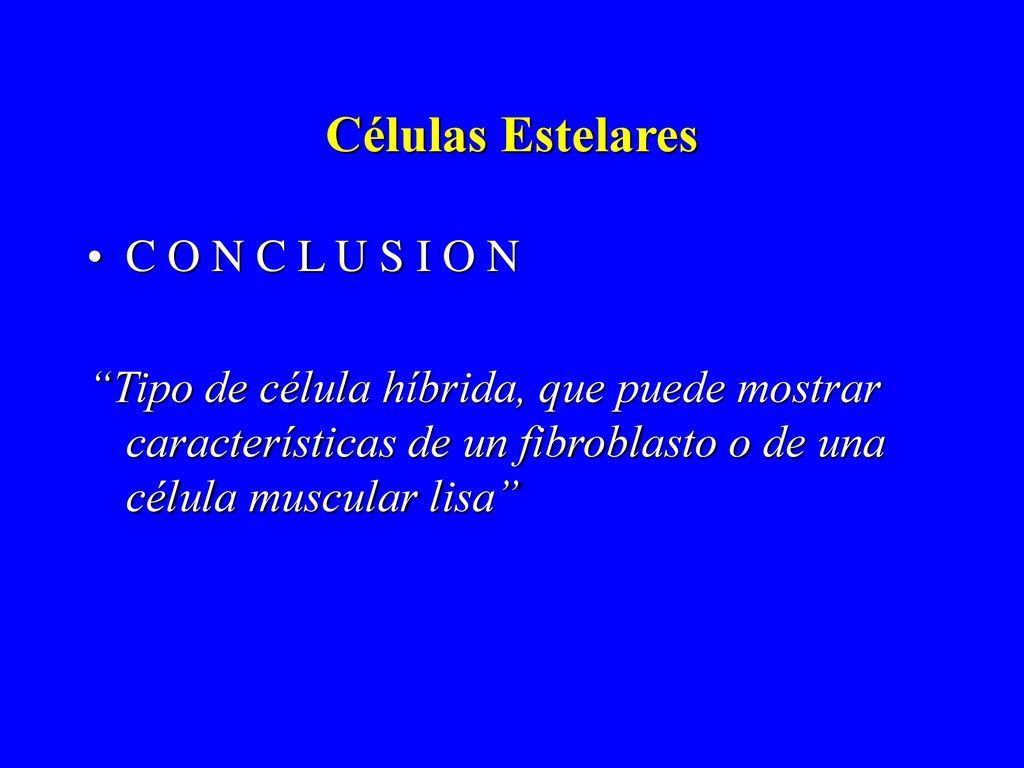 Células Estelares C O N C L U S I O N