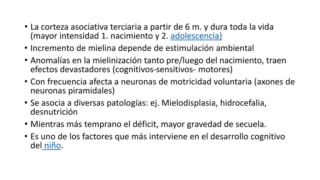 La corteza asociativa terciaria a partir de 6 m