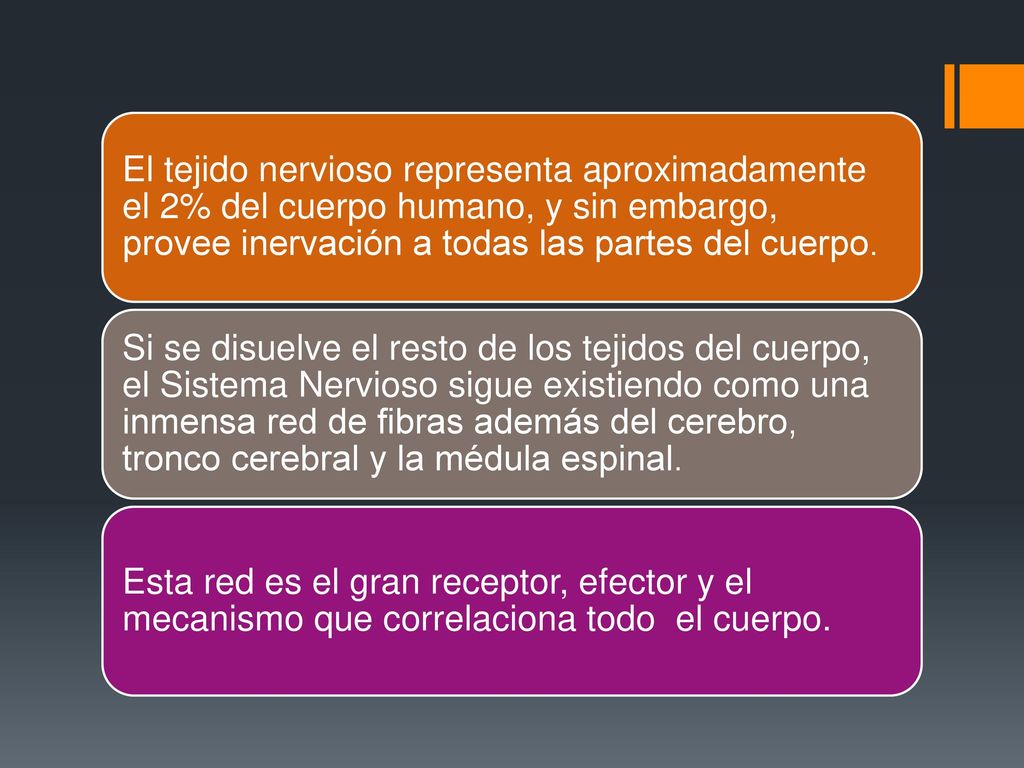 El tejido nervioso representa aproximadamente el 2% del cuerpo humano, y sin embargo, provee inervación a todas las partes del cuerpo.