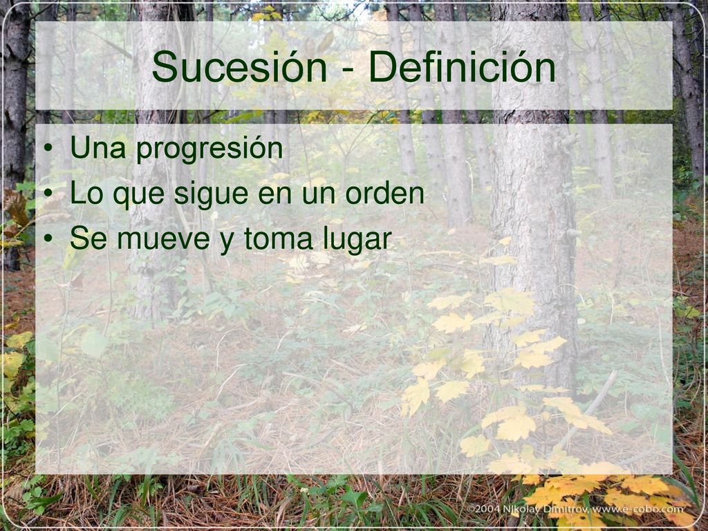 Sucesión - Definición Una progresión Lo que sigue en un orden